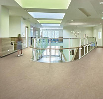 Forbo Marmoleum Acoustic 33252 sparrow фото 2 | FLOORDEALER